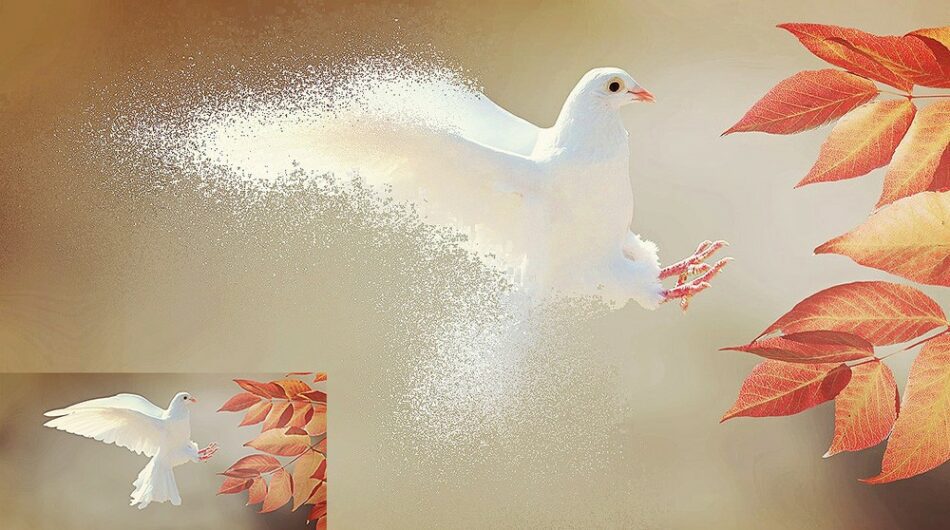 Image Dispersion Effect Online Maker (April 2022) Online Templates