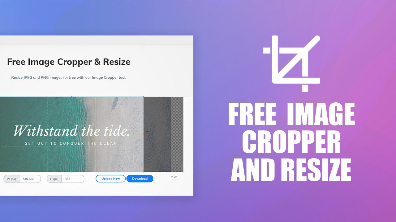 Free Online Image Crop & Resize Tool - Mediamodifier