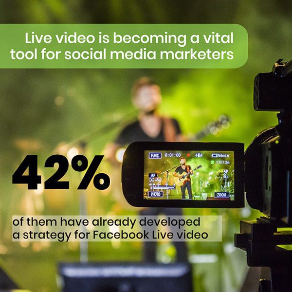 13-video-marketing-data-facts-template